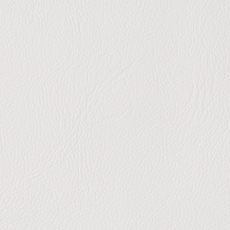 Image for Sunbrella Horizon Foam Back Capriccio  54