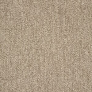 Thumbnail Image for Sunbrella Fusion #40501-0012 54" Pashmina Alpaca (Standard Pack 60 Yards) (ED)