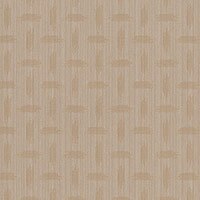 Thumbnail Image for Dickson North American Collection #J169 47" Brush Beige (Standard Pack 65 Yards) (EDC) (CLEARANCE)