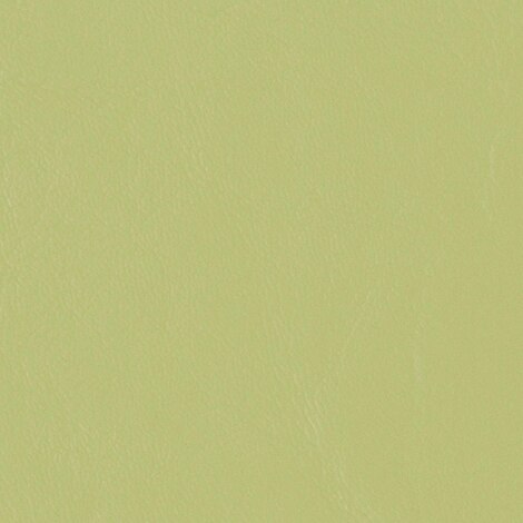 Image for Nautolex Capitano 54