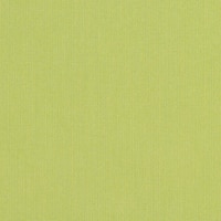 Thumbnail Image for Sunbrella Elements Upholstery #48023-0000 54" Spectrum Kiwi (Standard Pack 60 Yards)  (EDC) (CLEARANCE)