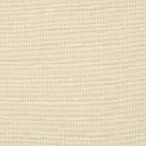 Thumbnail Image for Sunbrella Transcend #87005-0001 54" Rally Parchment (Standard Pack 55 Yards) (EDC) (CLEARANCE)