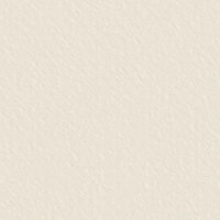 Thumbnail Image for Latitude  Ivory  #101 78.75