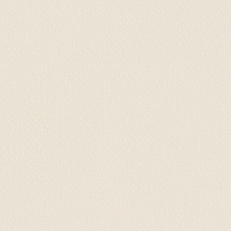 Image for Latitude  Ivory  #101 78.75