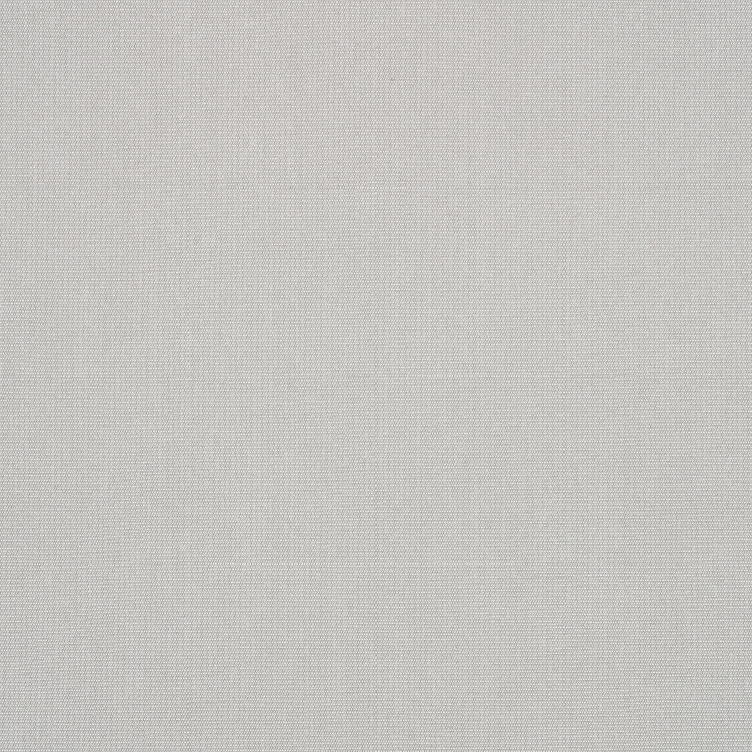 Silver official swatch