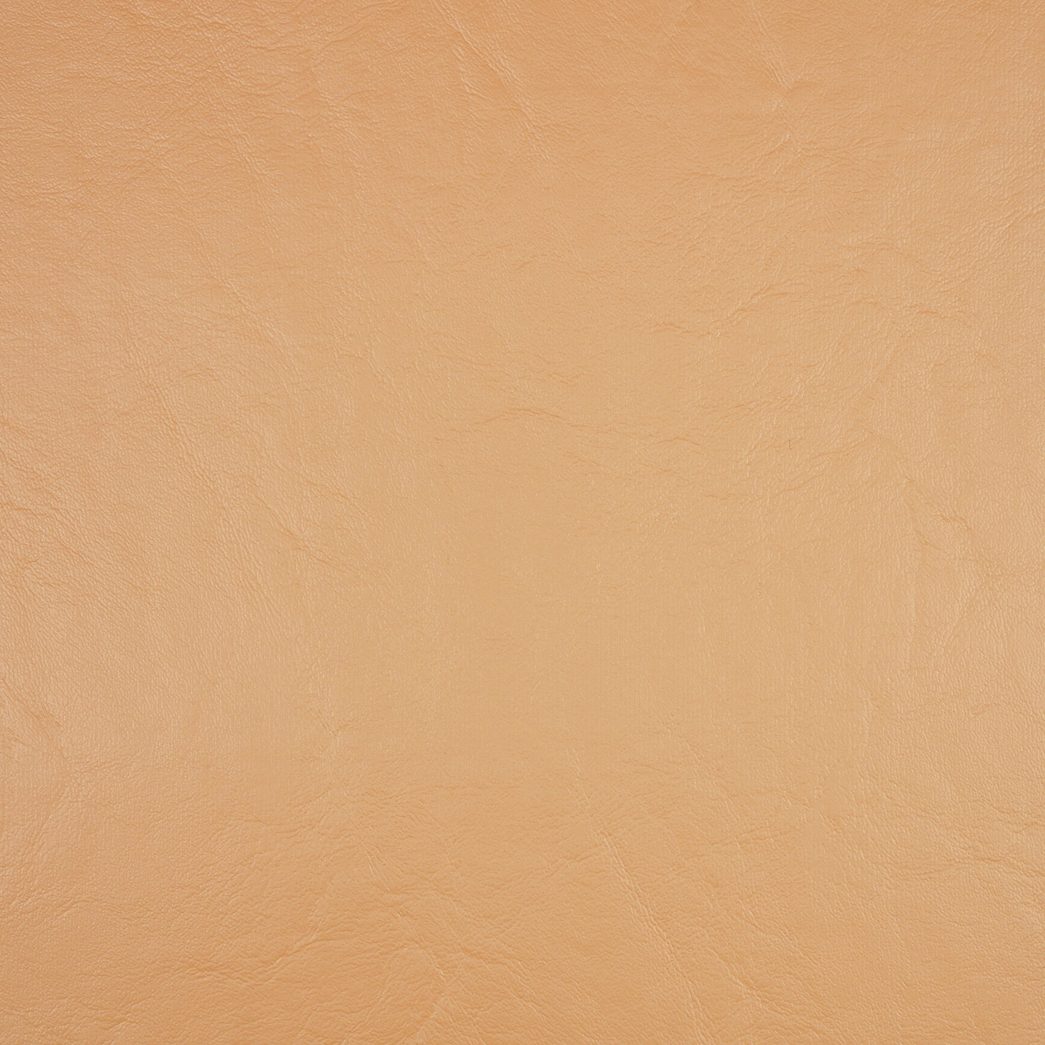 Nautolex Capitano 54