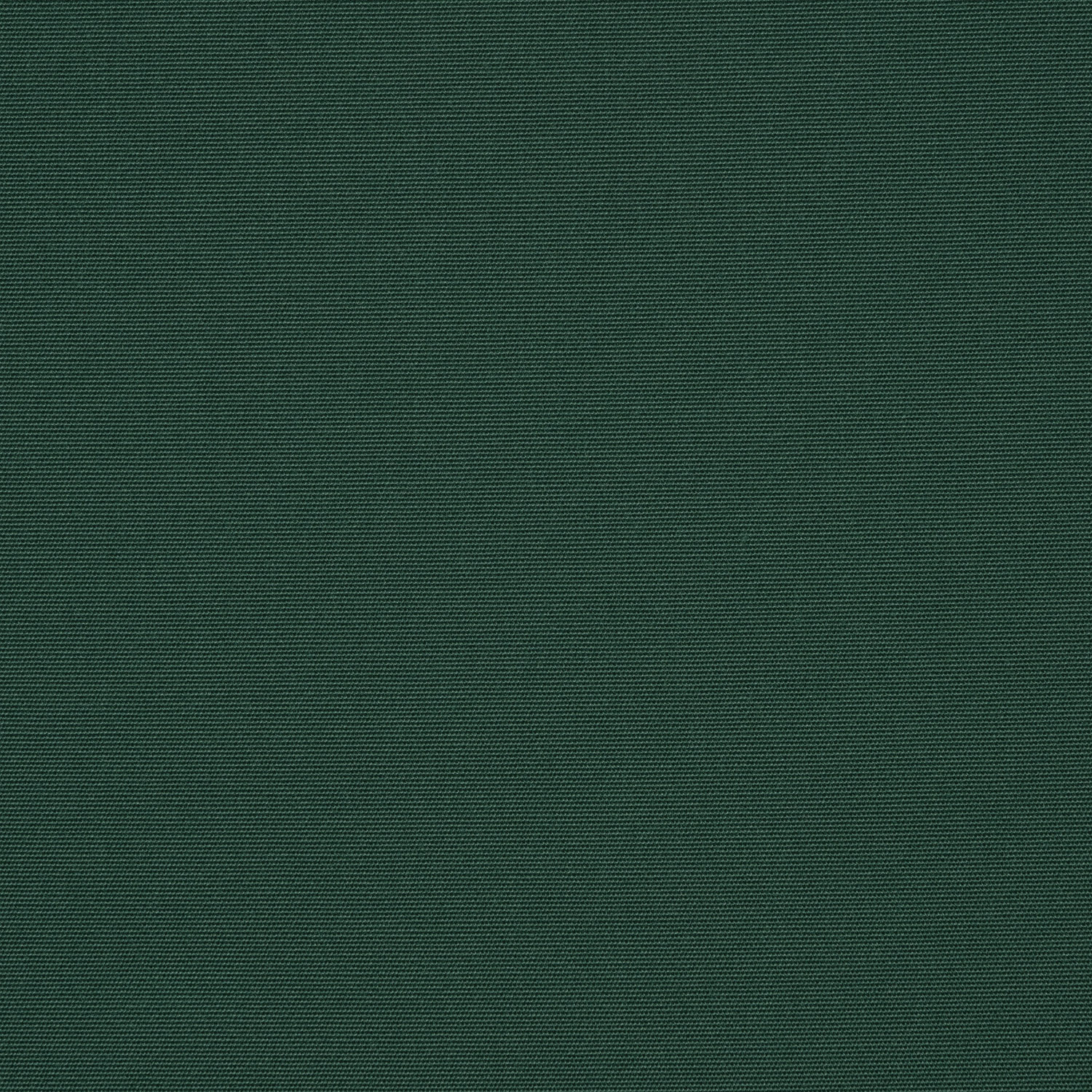 	Canvas Forest Green	