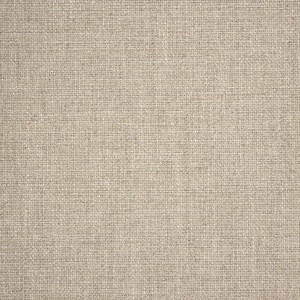 Thumbnail Image for Sunbrella Fusion #305423-0007 54" Piazza Dove (Standard Pack 60 Yards)