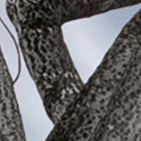 Thumbnail Image for Aura Upholstery #SCL-041ADF 54