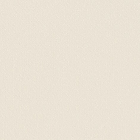 Image for Latitude Ivory #101 61