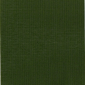 Thumbnail Image for Serge Ferrari Soltis Perform 92 #92-2149 69" Beetle (Standard Pack 54 Yards)