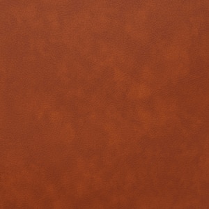 Thumbnail Image for Causeway Foam Back 54" Honey (Standard Pack 24 Yards) (ED)