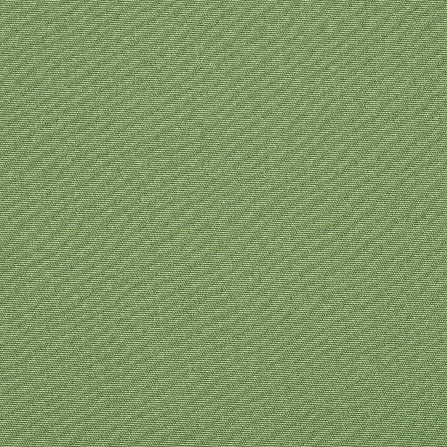 Basil official swatch