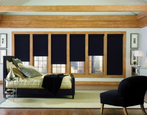 Dark-colored bed and couch in a room with light green bedding and carpet