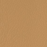Thumbnail Image for Sunbrella Horizon Foam Back Capriccio 54