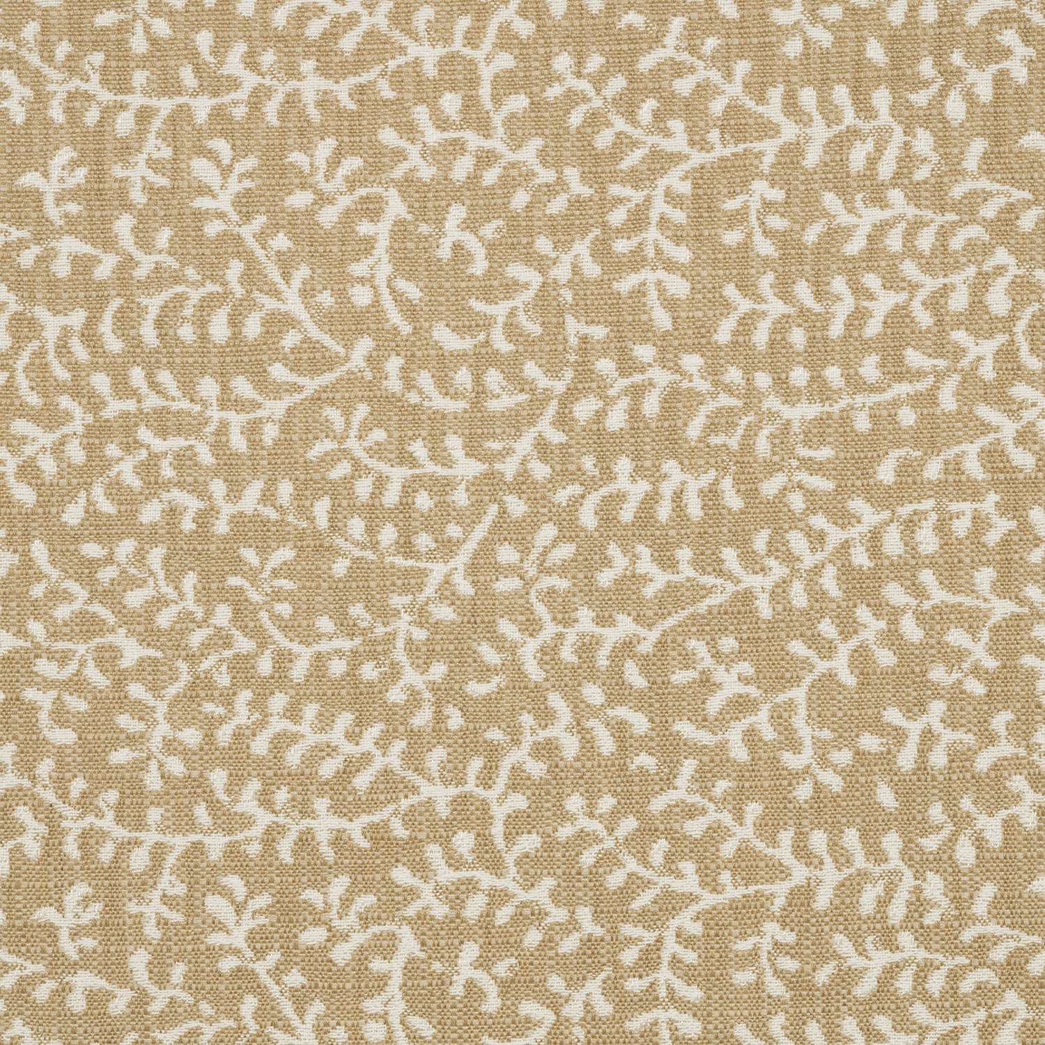 	Eberly II Linen	