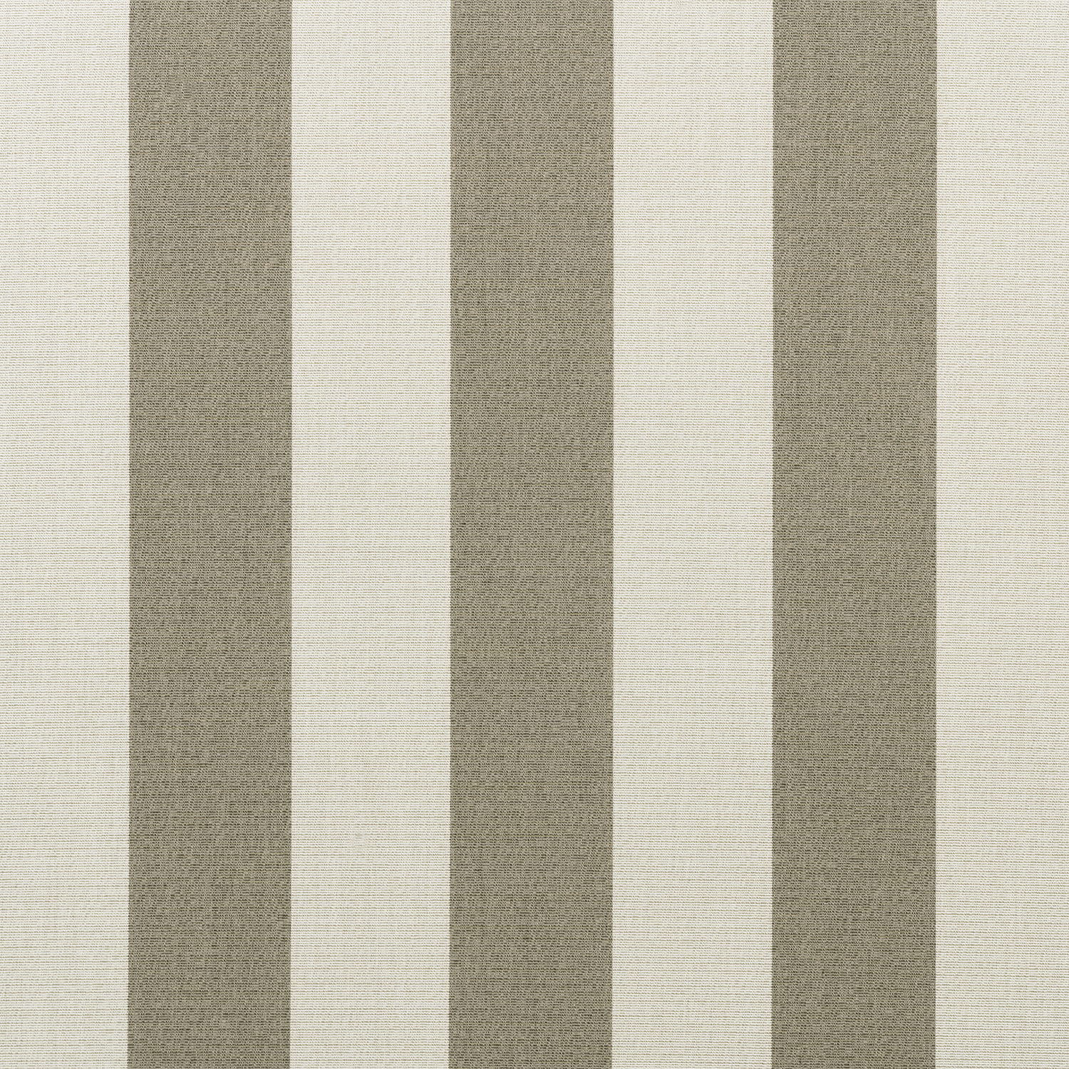 Paxton Stone official swatch