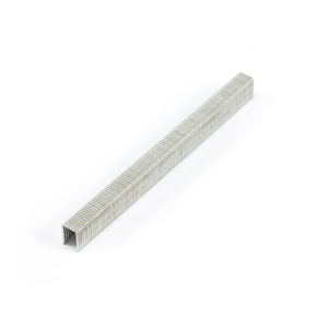 Thumbnail Image for Staple Chisel Point Galvanized 1/2" Length, 5/16" Crown 8400-pk