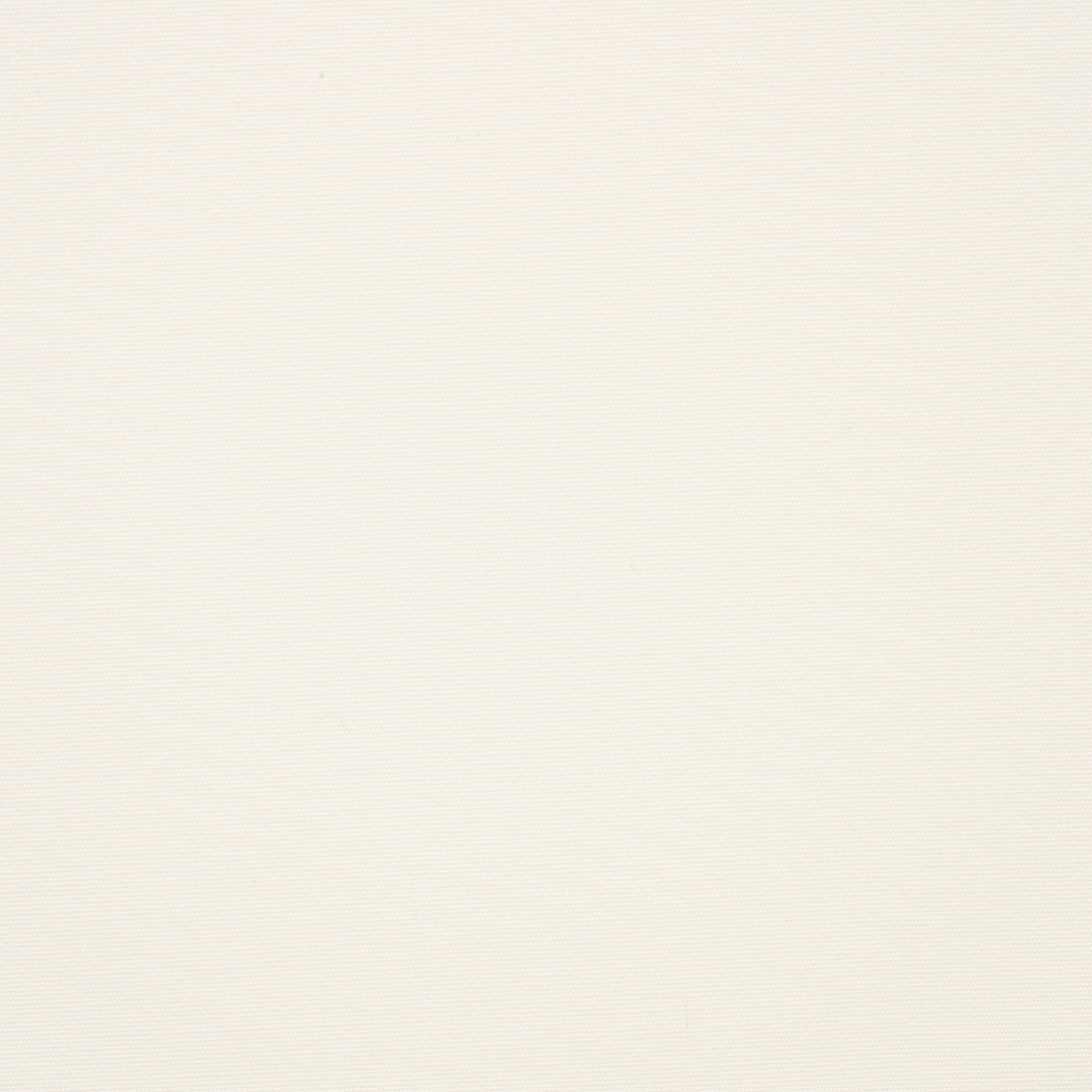 White official swatch