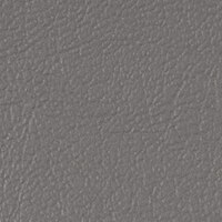 Thumbnail Image for Sunbrella Horizon Foam Back Capriccio 54