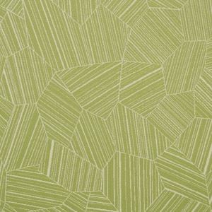 Thumbnail Image for Sunbrella Rockwell #146419-0007 54" Leaf Structure Aloe  (Standard Pack 55 Yards)