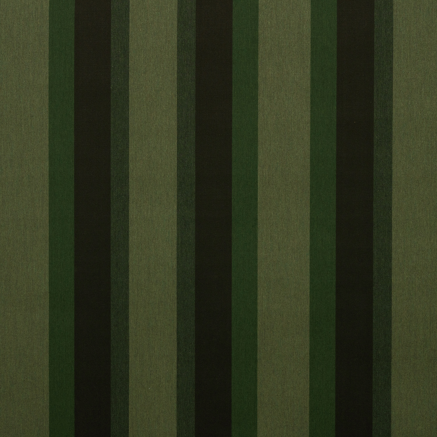 Marco Olive official swatch
