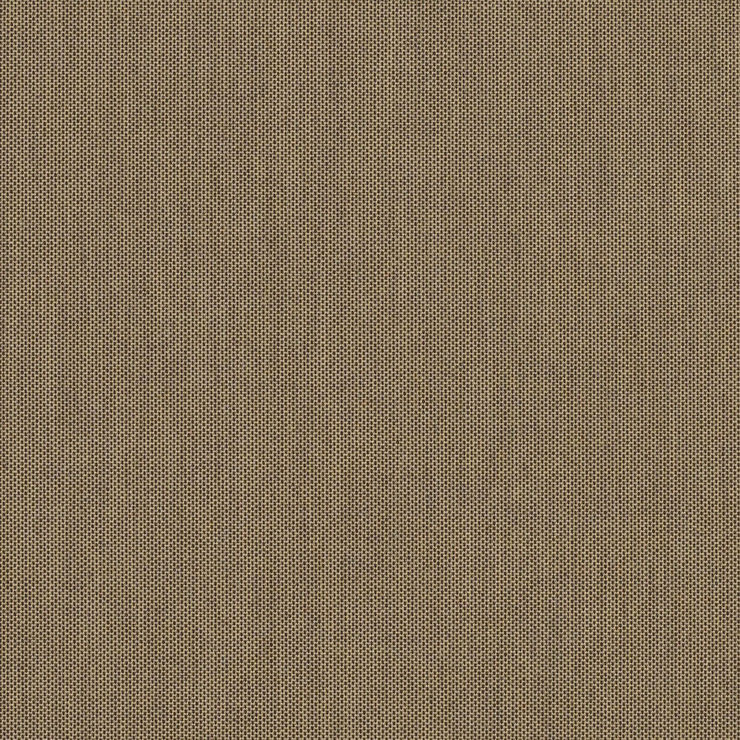 Tresco Birch official swatch