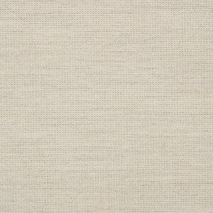 Thumbnail Image for Sunbrella Transcend #87005-0003 54" Rally Fog (Standard Pack 55 Yards) (EDC) (CLEARANCE)