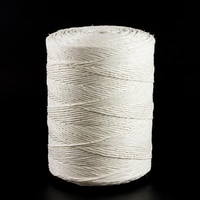 Thumbnail Image for Polypropylene Twine 1-Ply #550 5500' 10-lb (DISC) 0