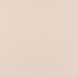 Thumbnail Image for Weblon Vanguard #2997 62" Almond (Standard Pack 50 Yards)