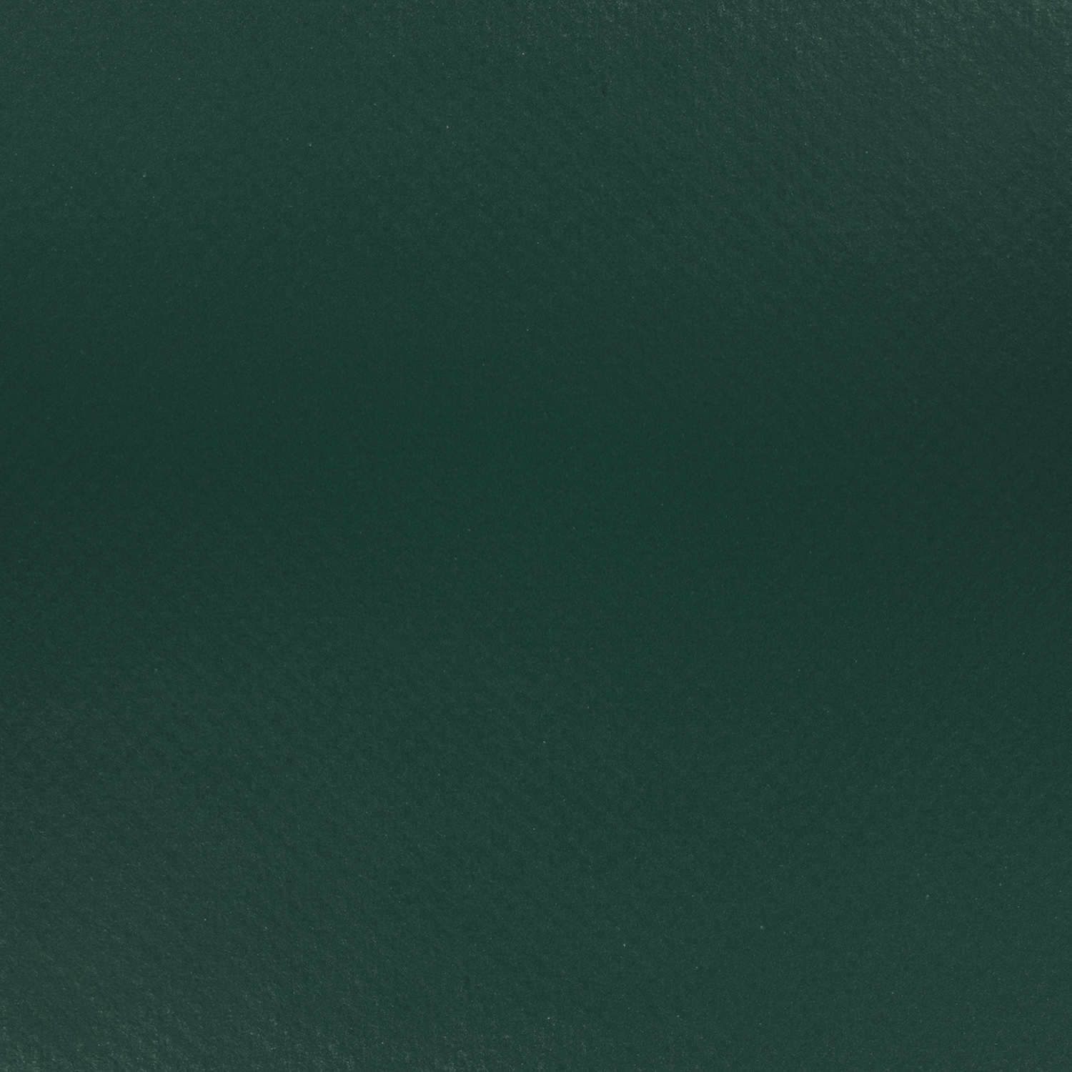 LAC 650 SL #567 58.5