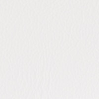 Thumbnail Image for Sunbrella Horizon Foam Back Capriccio  54