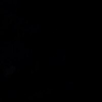 Thumbnail Image for YKK VISLON #10 Metal Sliders #10VFDX AutoLok Double Pull White 2
