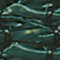 Thumbnail Image for XTRA 12-oz/sy 157