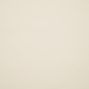 Thumbnail Image for Nassimi Seaquest 54" White Ice #PSQ-030ADF (Standard Pack 30 Yards)