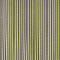 Thumbnail Image for Phifertex Stripes #DJ6 54" 42x14 Delray Stripe Kiwi (Standard Pack 60 Yards) (ED )