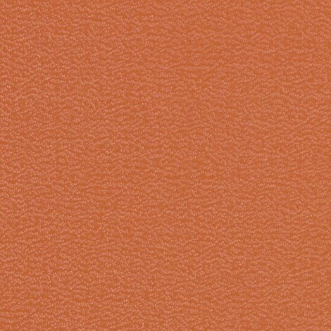 Image for Weblon Coastline Plus #CP-2796 62