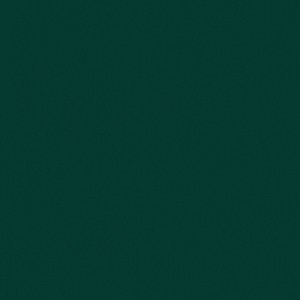 Thumbnail Image for Sunbrella Upholstery #5446-0000 54" Canvas Forest Green (Standard Pack 60 Yards)