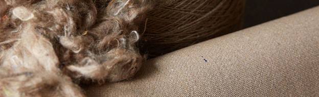 Assortment of natural-toned raw wool and yarn displayed beside a canvas fabric