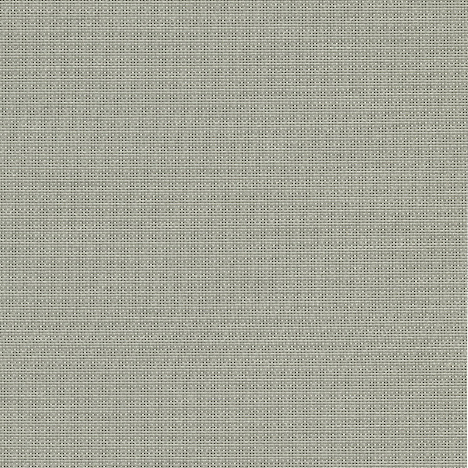 [COLD FRAME] ☆ / EVERYDAY GREY PEARLS EVERYDAY GREY PEARLS