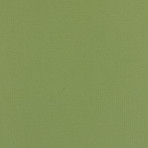 Thumbnail Image for Weblon Coastline Plus #CP-2702 62" Sea Palm (Standard Pack 50 Yards)