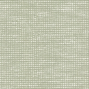 Thumbnail Image for Sunbrella European #SLO19107 55" Slow Spirea (Standard Pack 49.21 Yards)
