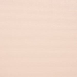 Thumbnail Image for Weblon Coastline Plus #CP-2797 62" Almond (Standard Pack 50 Yards) (ED) (ALT)