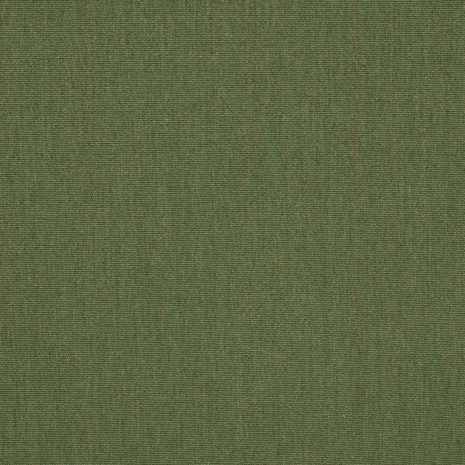 Fern official swatch