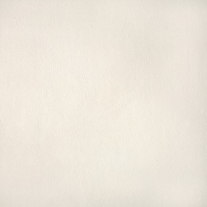 Thumbnail Image for Sunbrella Horizon Capriccio 54" Cloud #10200-0002 (Standard Pack 30 Yards)