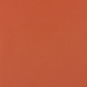 Thumbnail Image for Weblon Vanguard #2909 62" Rust (Standard Pack 50  (ECUS)