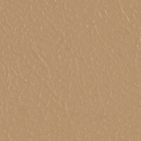 Thumbnail Image for Sunbrella Horizon Foam Back Capriccio 54
