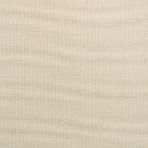 Thumbnail Image for Sunbrella Transcend #87005-0002 54" Rally Jade (Standard Pack 55 Yards) (EDC) (CLEARANCE)