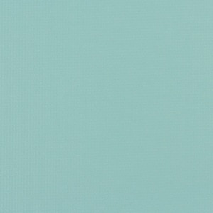 Thumbnail Image for Weblon Coastline Plus #CP-2734 62" Jade (Standard Pack 50 Yards)
