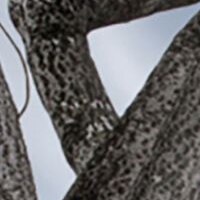 Thumbnail Image for Aura Upholstery #SCL-009ADF 54